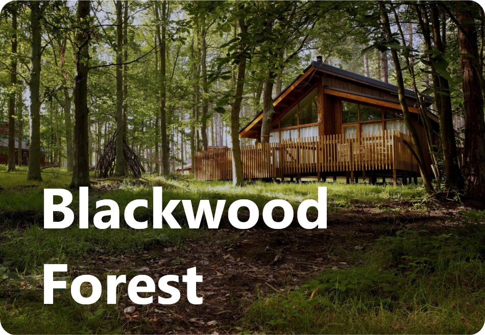 Blackwood Forest