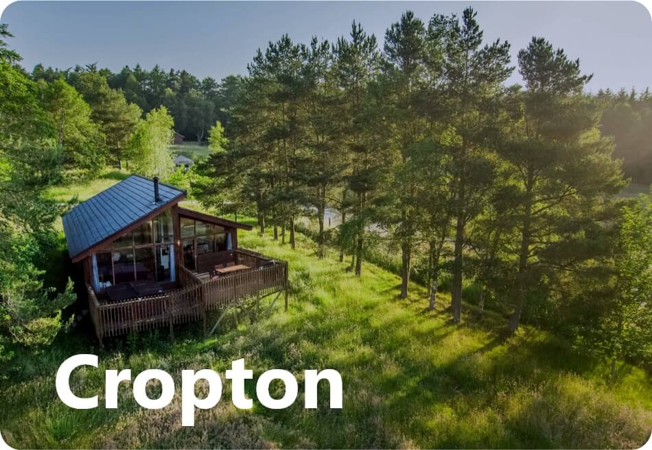 Cropton Forest