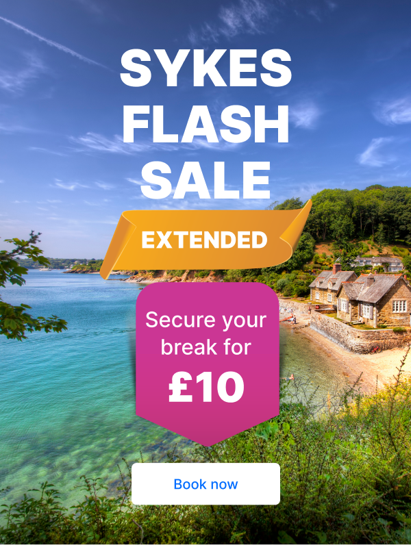 Sykes Flash Sale