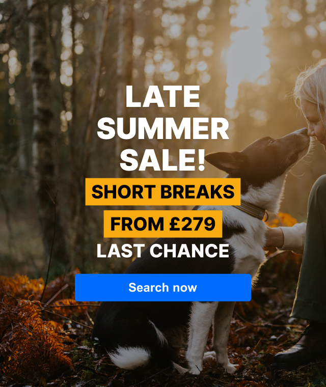 Late summer sale