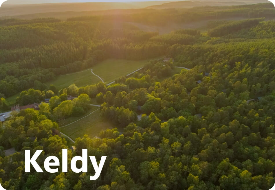 Keldy Forest