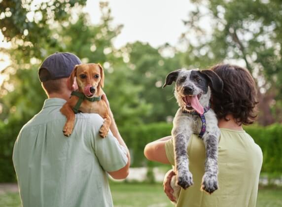 Pets go free