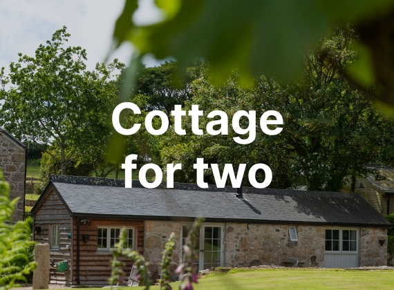 Cosy for 2