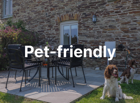 Pet-friendly