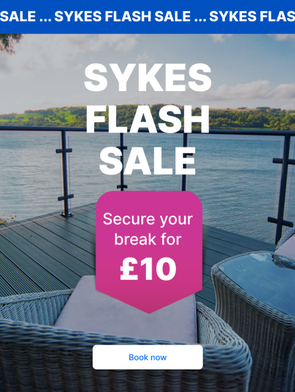 Flash Sale